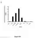 Fig. 10 - Muscle lamin A/C interacting protein, gene encoding same, and uses therefor