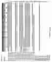 Fig. 52 - Muscle lamin A/C interacting protein, gene encoding same, and uses therefor