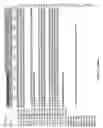 Fig. 53 - Muscle lamin A/C interacting protein, gene encoding same, and uses therefor