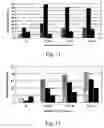 Fig. 08 - Methods for producing microspore derived doubled haploid 