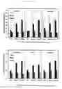 Fig. 16 - PLANTS WITH IMPROVED MORPHOGENESIS AND METHOD OF CONSTRUCTING THE SAME