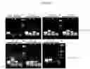 Fig. 09 - Gene silencing