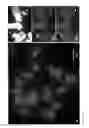 Fig. 03 - Artificial Plant Minichromosomes
