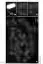 Fig. 06 - Artificial Plant Minichromosomes