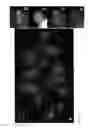 Fig. 16 - Artificial Plant Minichromosomes