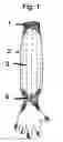Fig. 02 - ARM PROTECTIVE KNITTED ARTICLES OF CLOTHING