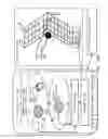 Fig. 15 - Adjustable bed position control