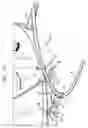 Fig. 11 - Guitar cord securing apparatus