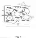Fig. 02 - APPARATUS AND METHODS FOR OPTIMIZING CLEANING OF PATTERNED SUBSTRATES