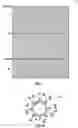Fig. 02 - Thermal recovery of shallow bitumen through increased permeability inclusions