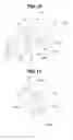 Fig. 09 - POWER STEERING APPARATUS