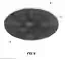 Fig. 09 - Contactless identification device