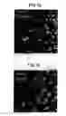 Fig. 11 - Organic underlayers that improve the performance of organic semiconductors