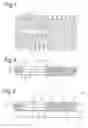 Fig. 02 - Integrated circuit package