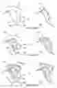 Fig. 01 - VEHICLE BODY FRAME STRUCTURE