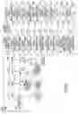 Fig. 06 - Conveying apparatus, liquid applying apparatus, and image forming apparatus