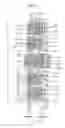 Fig. 03 - Electrostatic discharge protection circuit, manufacturing method thereof and liquid crystal display device having the same