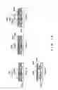 Fig. 20 - Projection apparatus comprising spatial light modulator
