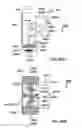 Fig. 70 - Projection apparatus comprising spatial light modulator