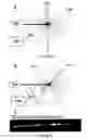 Fig. 08 - Interferometric detection system and method