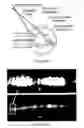 Fig. 09 - Interferometric detection system and method