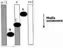 Fig. 01 - COMPENSATING GAIN OF AN OPTICAL RECORDING APPARATUS