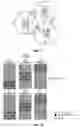 Fig. 14 - Soft handoff for OFDM