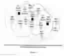 Fig. 08 - Decentralized media access control for ad-hoc mobile wireless network