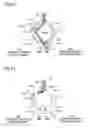 Fig. 16 - DATA TRANSFER DEVICE FOR RING PROTOCOL HIGH SPEED SWITCHING AND METHOD FOR THE SAME