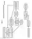 Fig. 07 - Lock and hold structured light illumination
