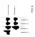 Fig. 07 - Prion deactivating composition and methods of using same