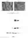 Fig. 02 - Attenuated reoviruses for selection of cell populations