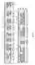 Fig. 02 - Identification of residues critical for the function of the vibrio cholerae virulence regulator ToxT by scanning alanine mutagenesis