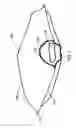 Fig. 02 - Hemostatic biocidal dressing