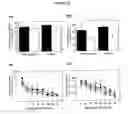 Fig. 07 - Treatment for Attention-Deficit Hyperactivity Disorder