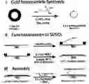 Fig. 02 - Method for Functionalizing Surfaces