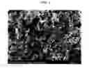 Fig. 02 - Electrode catalyst layer for use in fuel cell