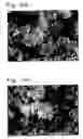 Fig. 43 - Lithium transition metal-based compound powder for positive electrode material in lithium rechargeable battery, method for manufacturing the powder, spray dried product of the powder, firing precursor of the powder, and positive electrode for lithium rechargeable battery and lithium rechargeable battery using the powder