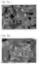 Fig. 64 - Lithium transition metal-based compound powder for positive electrode material in lithium rechargeable battery, method for manufacturing the powder, spray dried product of the powder, firing precursor of the powder, and positive electrode for lithium rechargeable battery and lithium rechargeable battery using the powder