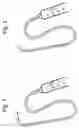 Fig. 02 - Collagen Antral Membrane Expander