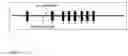 Fig. 02 - Dopamine D2 receptor gene variants