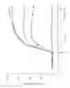 Fig. 14 - Genetically modified cyclic-nucleotide controlled ion channels