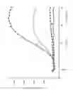 Fig. 21 - Genetically modified cyclic-nucleotide controlled ion channels