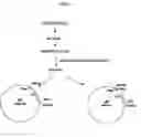 Fig. 02 - Expression vector for secreting antibody fragment using signal sequence and method for mass-producing antibody fragment