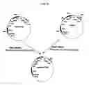 Fig. 09 - Expression vector for secreting antibody fragment using signal sequence and method for mass-producing antibody fragment