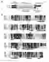 Fig. 02 - Crystallographic structure of Mnk-1 and Mnk-2 proteins