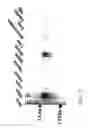Fig. 06 - UDP-galactose:β-D-galactose-R 4-α-D-galactosyltransferase, α4gal-T1