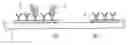 Fig. 01 - Target substance detecting element, target substance detecting apparatus, and target substance detecting method