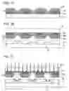 Fig. 02 - Method of manufacturing light-emitting device, and evaporation donor substrate