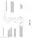 Fig. 14 - Ligand screening and discovery